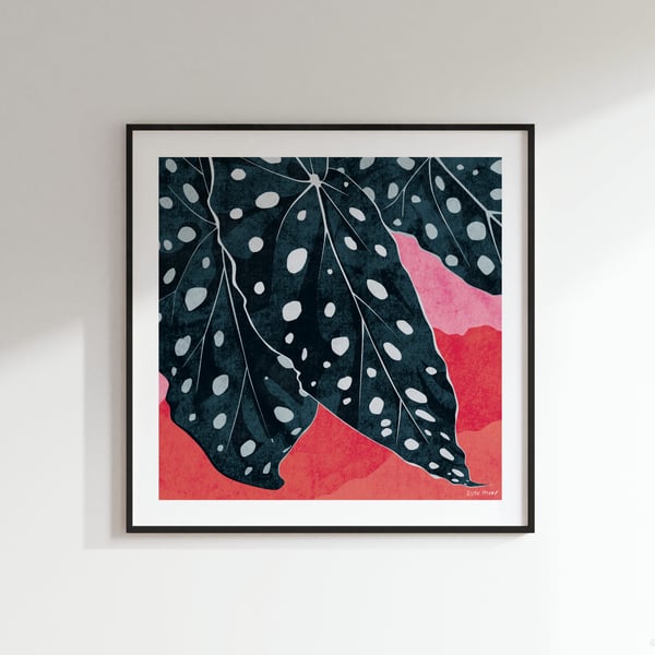 Polka Dot Begonia Begonia Maculata Botanical Square Art Print