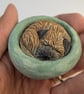 Border Terrier Yorkshire Pudding - 5 - Image 3