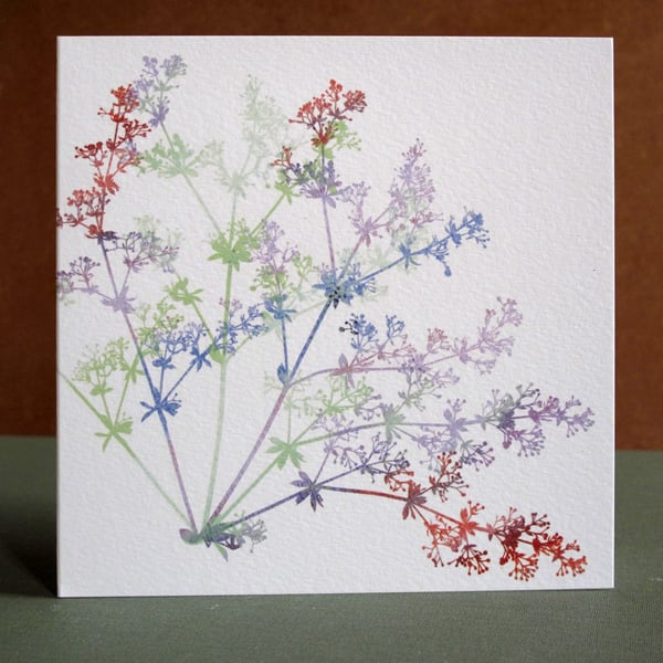 Blank Fine Art Card with Envelope