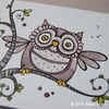 happy owl - original aceo