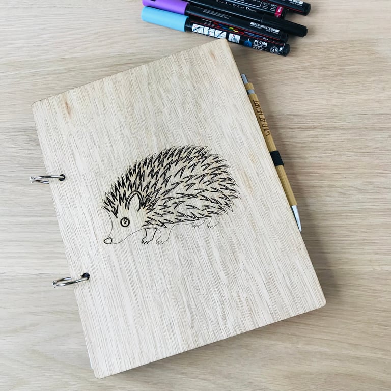 A5 eco friendly hedgehog notebook and pen