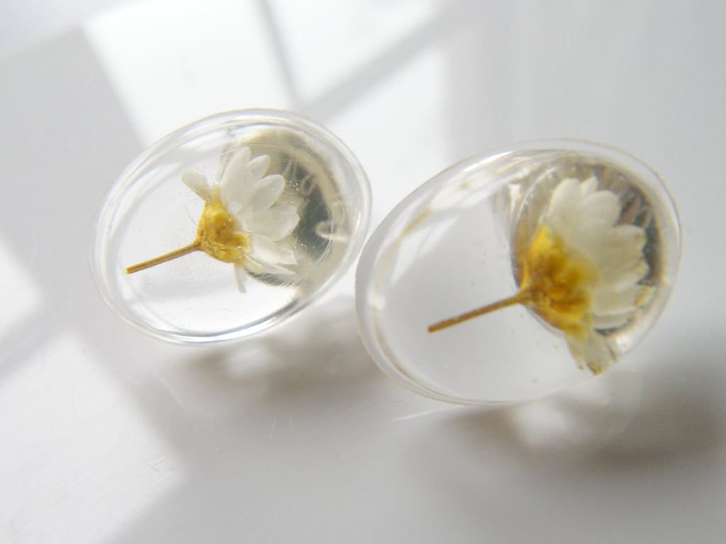 Real Daisy Earrings in Resin