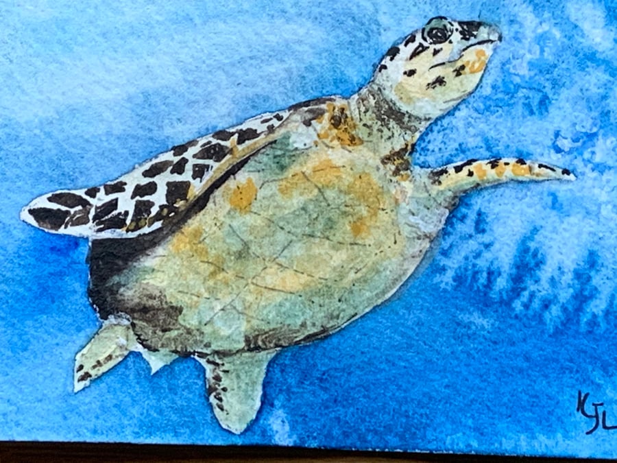 Watercolour of a Turtle ACEO - free UK postage 