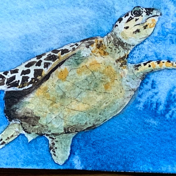 Watercolour of a Turtle ACEO - free UK postage 