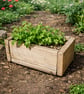 Rustic Solid Wooden plant Herb Trough Planter 40cm