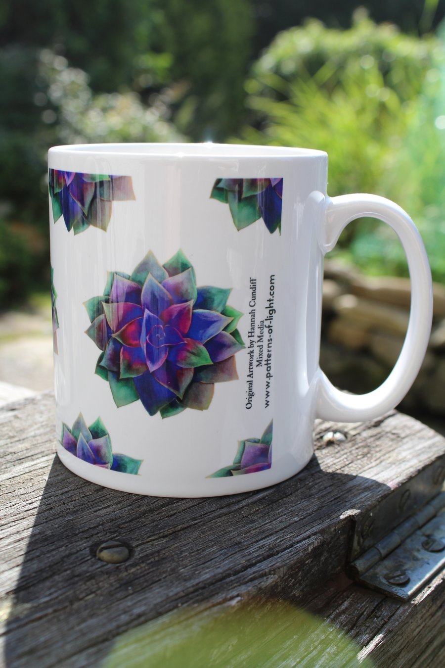 Echeveria Mug