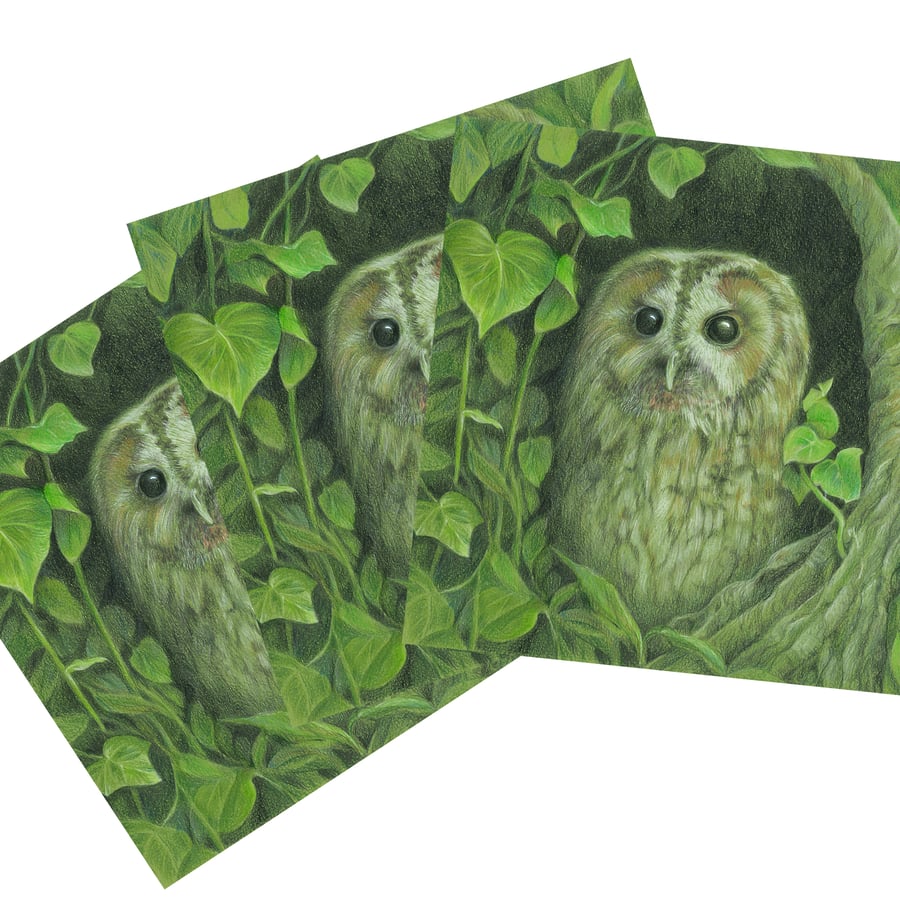 4x  Leafy Tawny Owl Art Cards