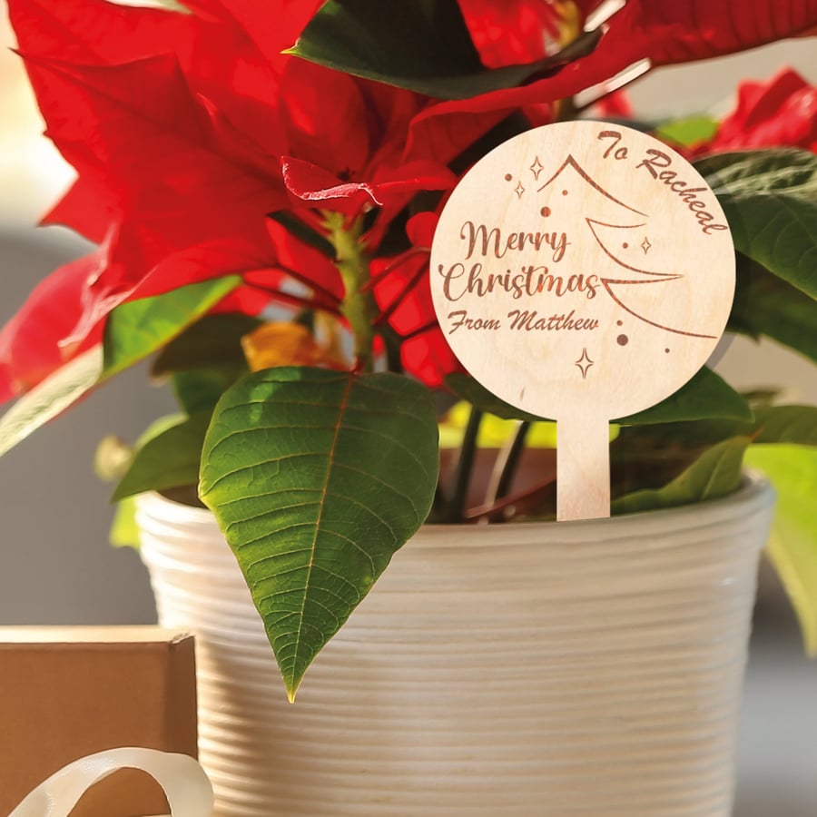 Merry Christmas Plant Tag Happy Holiday Plant Gift For Teacher Co Worker