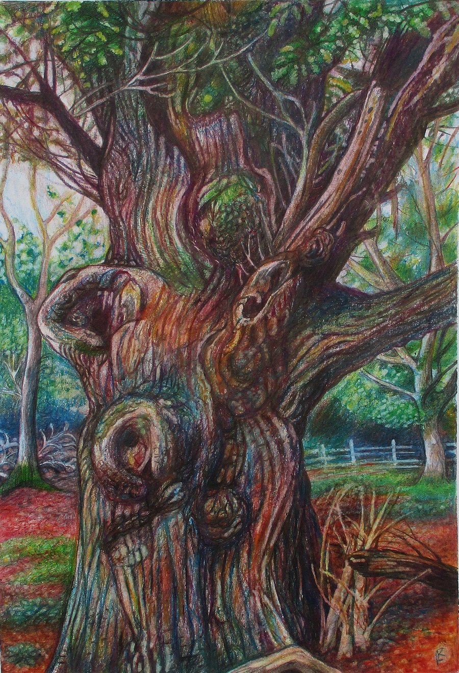'Oak Tree' -  Coloured Pencil with Wax Crayon Drawing