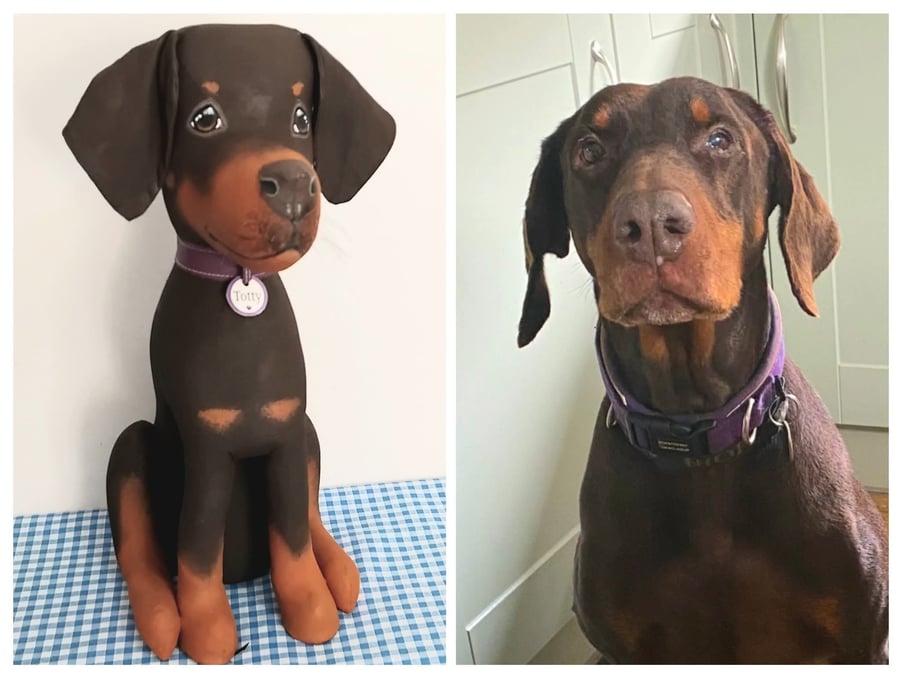 Doberman
