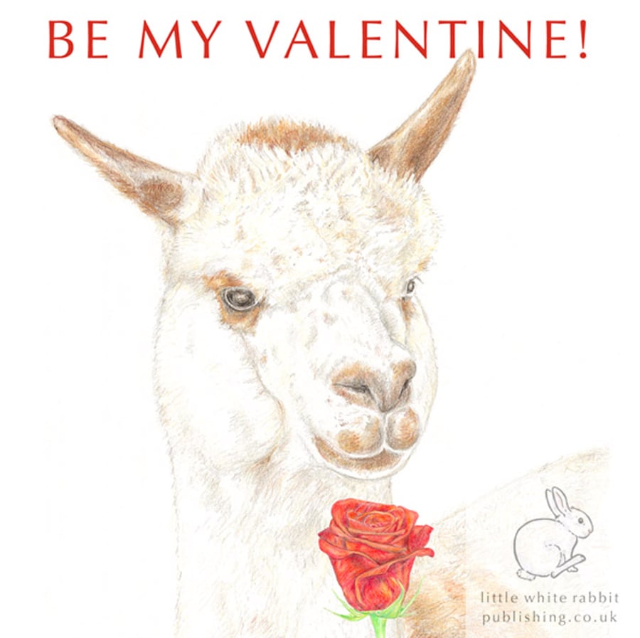 Matthew the Alpaca - Valentine Card