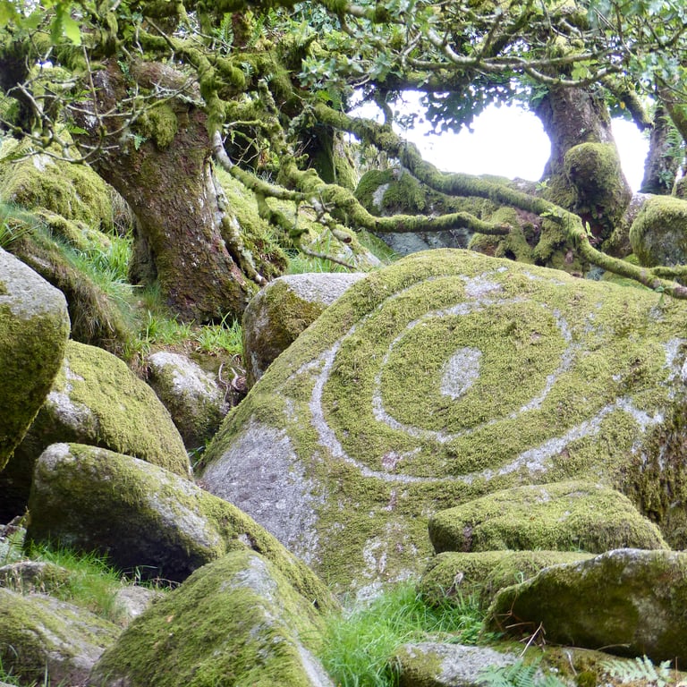 6" Square Photographic Card