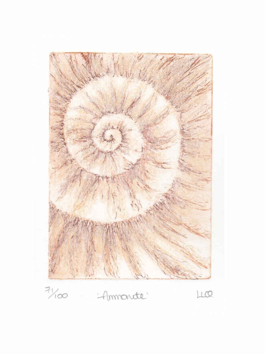 Etching no.71 of an ammonite fossil with mixed media in an edition of 100