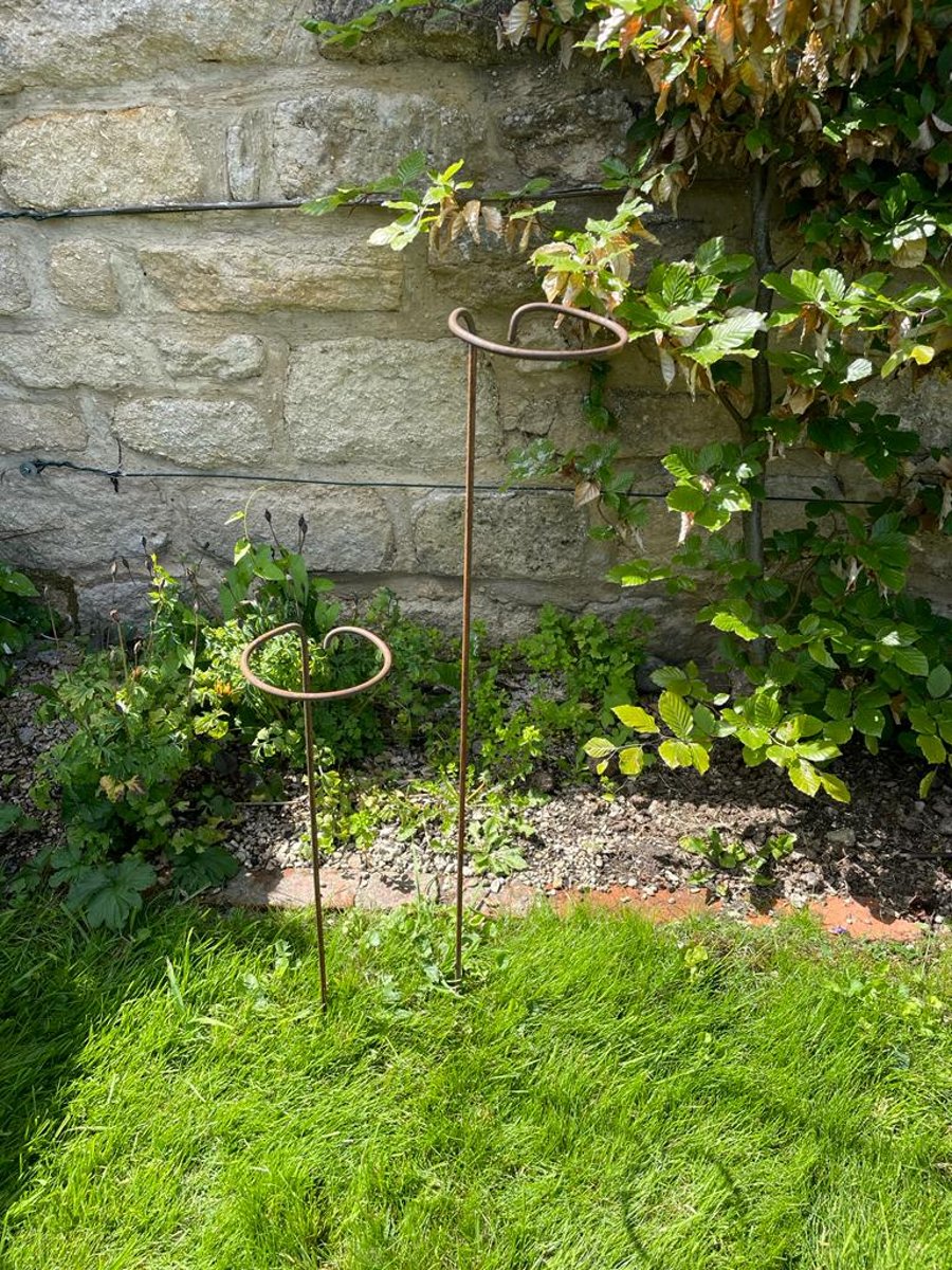 Rusty Raven Flower Stakes