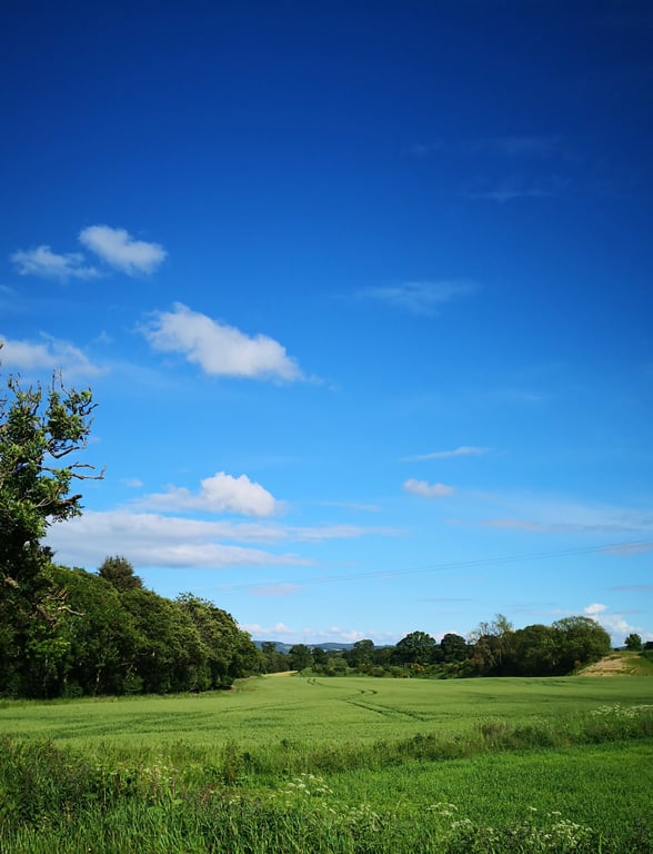 creative paper and ink