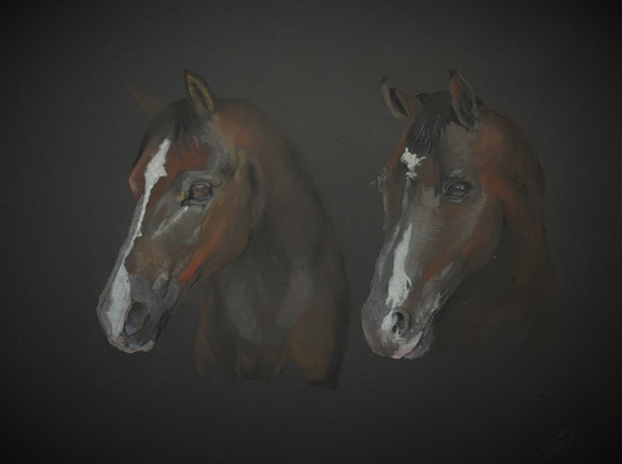 Two horses 24" x 16" canvas print