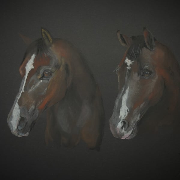 Two horses 24" x 16" canvas print