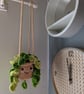 Hanging crochet plant kawaii cute handcrafted unique - Image 3