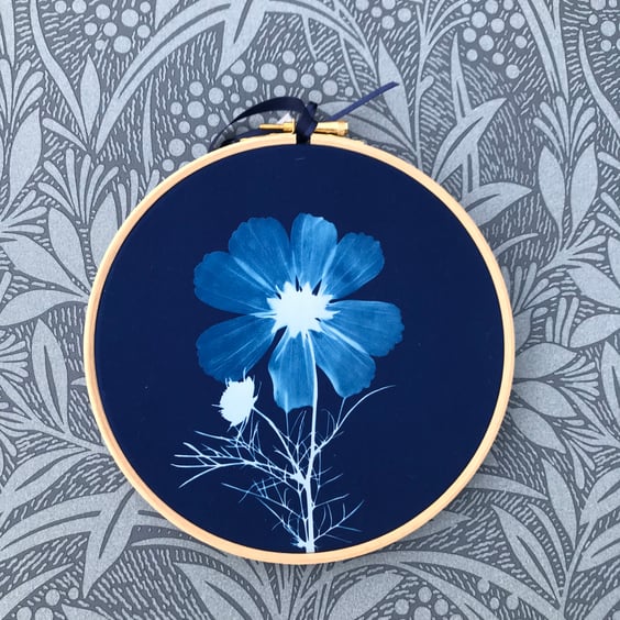 Cosmos Flower Cyanotype Art  in Beech Hoop