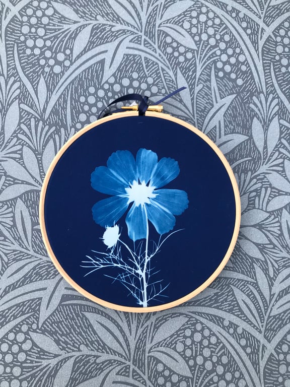 Cosmos Flower Cyanotype Art  in Beech Hoop