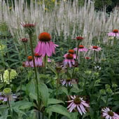 Sewing & Sowing