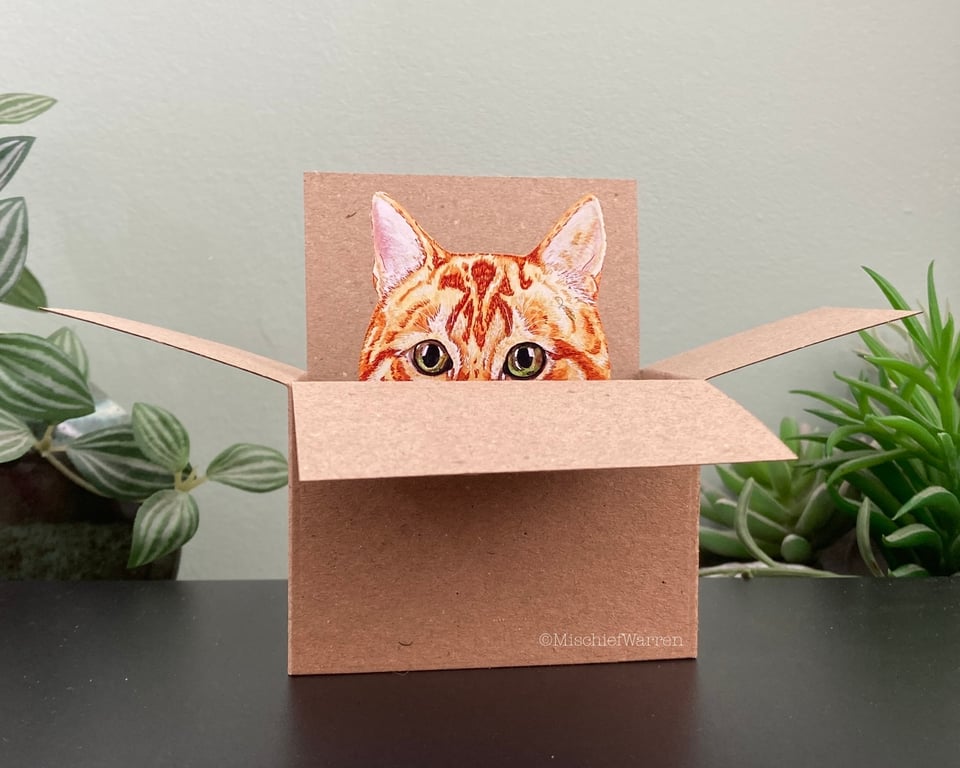 Ginger Cat Card; Personalised, Birthday or Blank. Cat in a box gift card holder.