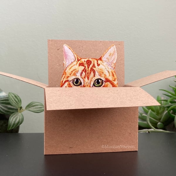 Ginger Cat Card; Personalised, Birthday or Blank. Cat in a box gift card holder.