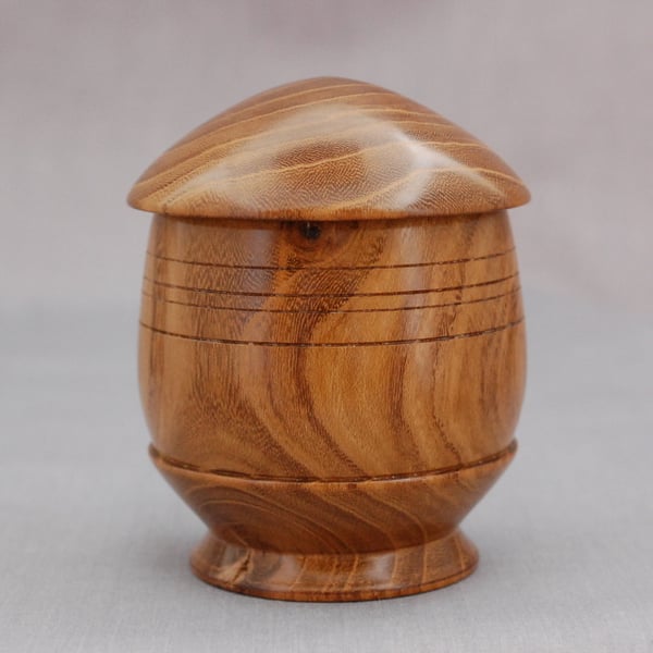 Lidded Box in English Laburnum