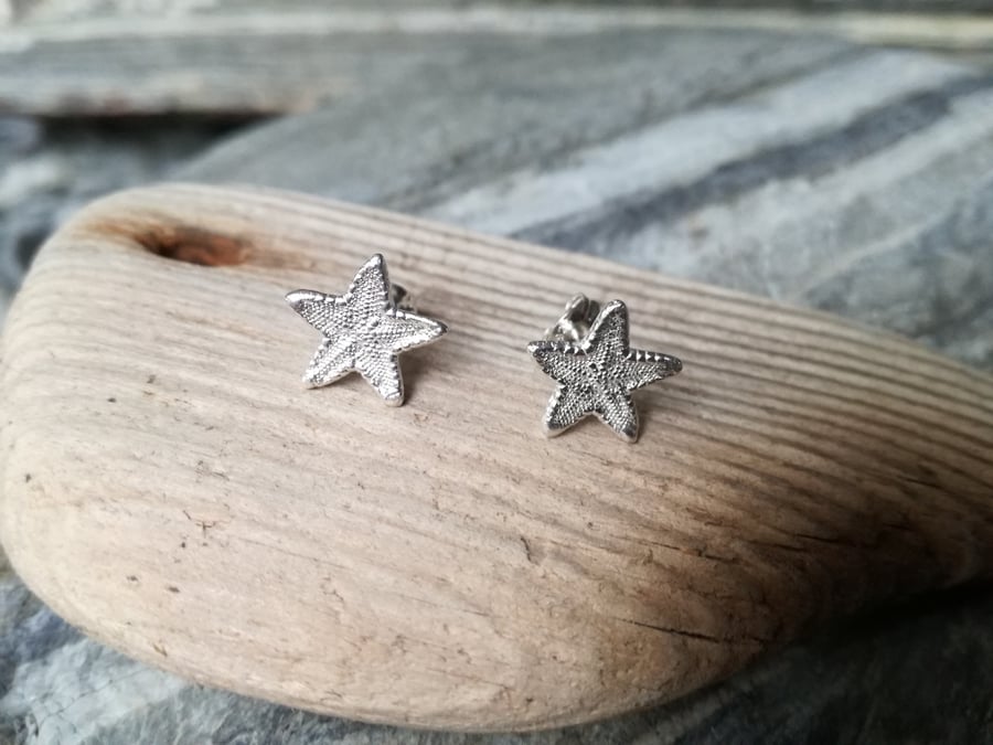 Starfish Studs 