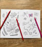 A Walk in the Forest - Adult Colouring Book - Image 3