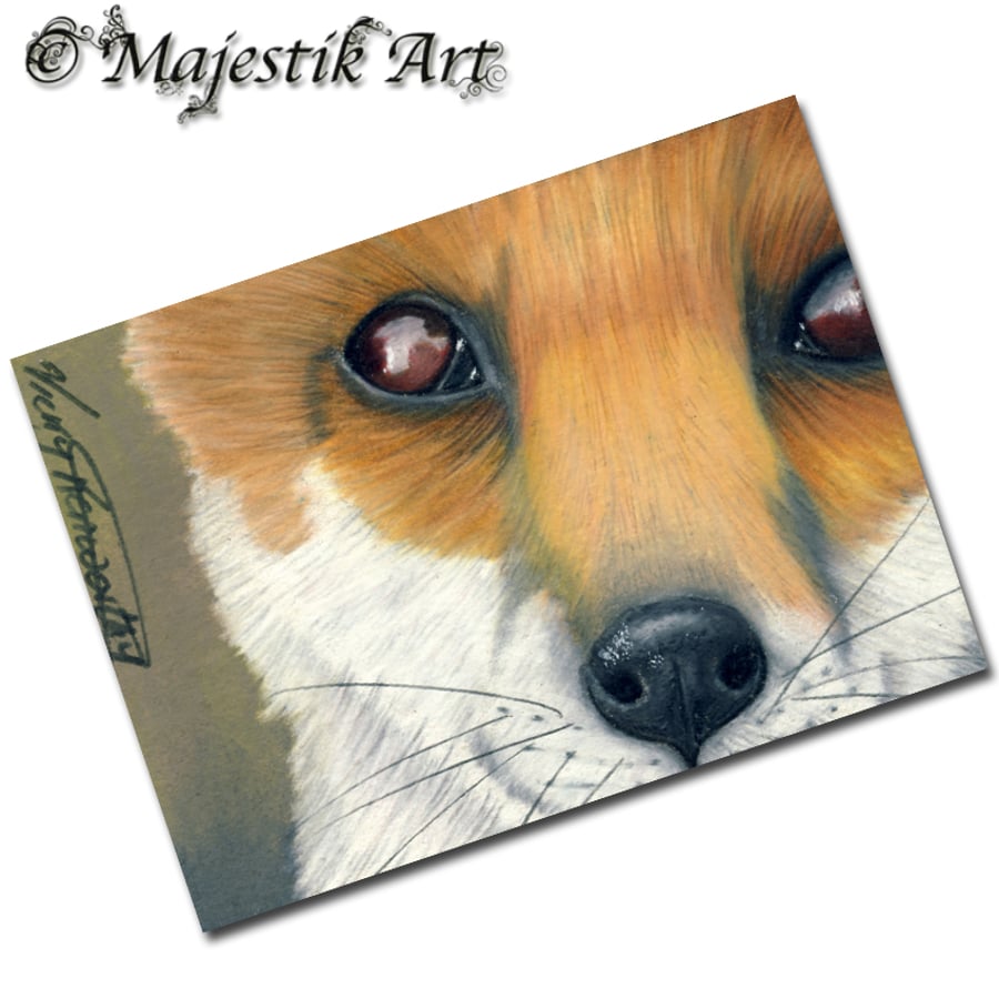Archival ACEO Fox Print 'Beauty' By V Kenworthy