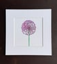 'Allium' 8" x 8" Mounted Print