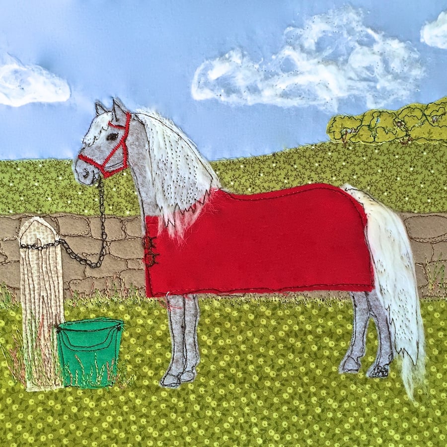 Birthday card - grey pony