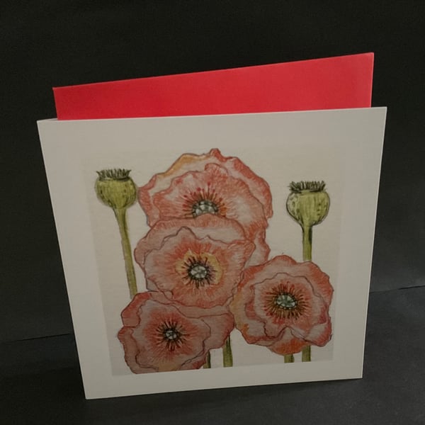 Everyone likes a Poppy greeting card