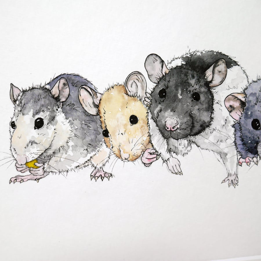 Rats Rat Art Rat Lovers Original Watercolour Painting