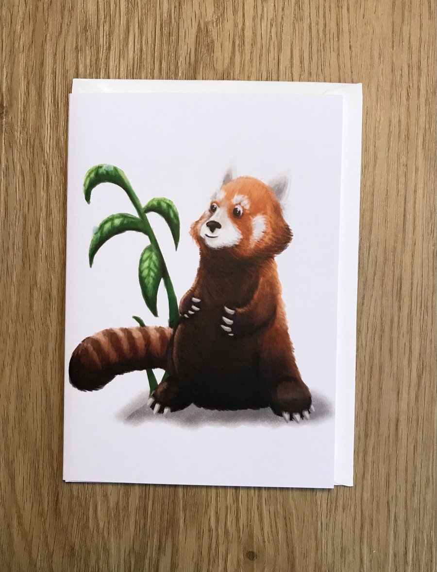 Red Panda blank greeting card