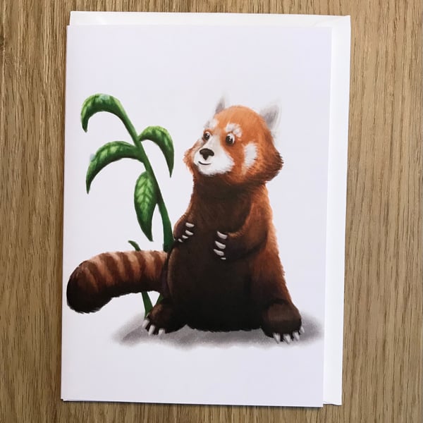 Red Panda blank greeting card