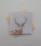Stag greetings card, blank card, Wildlife - Image 6
