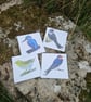 Dartmoor Summer Bird Card - Pack of 4