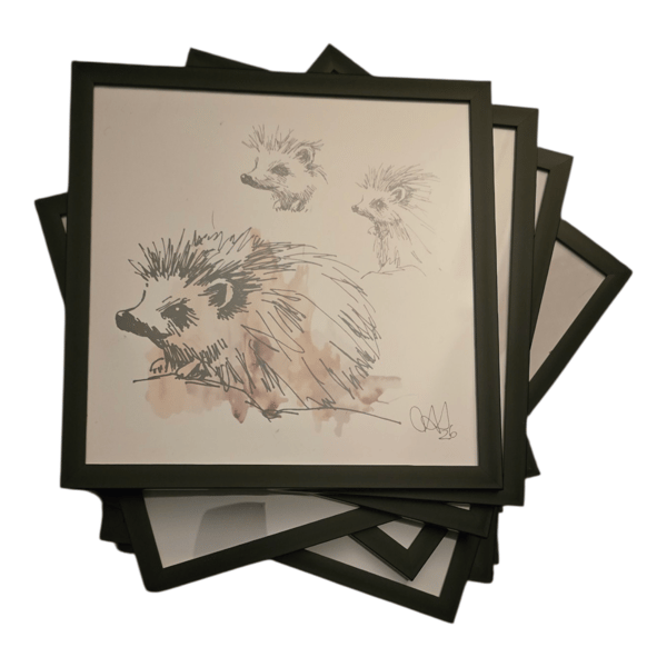Prints of original hedgehog sketches 