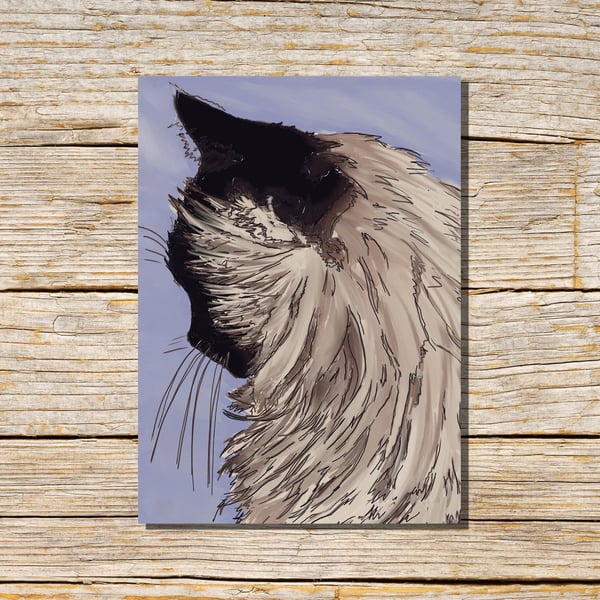 Cat Card, Ragdoll Greeting Card, Kitten Card, Balinese Cat, Greetings Card, Cats