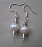 Pearl Earrings - Image 1