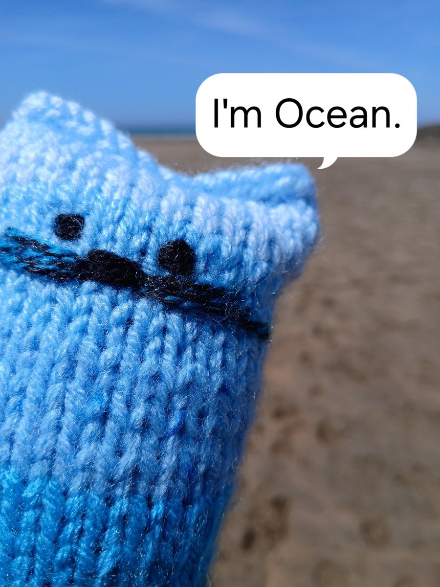 Ocean cat-knit.