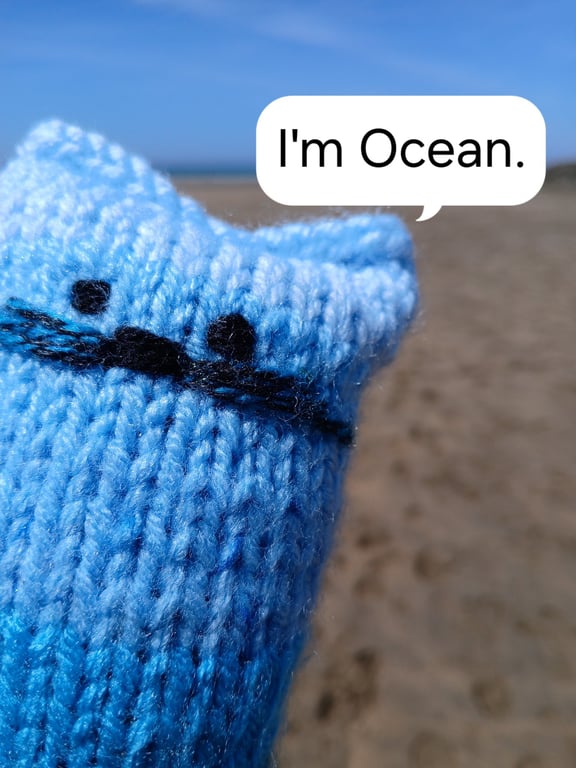 Ocean the coastal cat-knit.