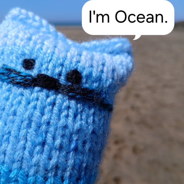 Ocean cat-knit.
