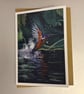Flying Kingfisher A5 Greeting Card 