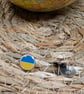Ukraine Flag Map Pin – European Travel Map Push Pin for Wooden Maps, Ukrainian - Image 2