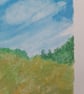 The field  - Image 2