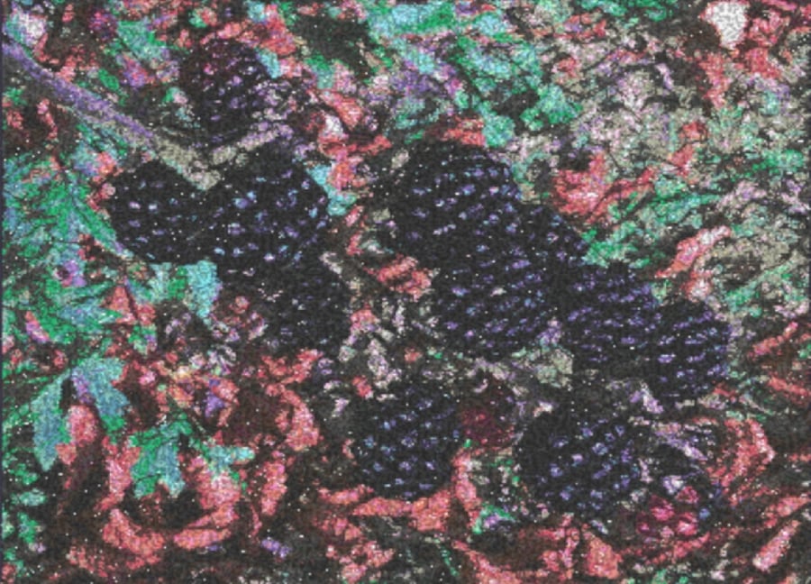 Embroidered Art - The Hedgerow .  A beautiful work of art