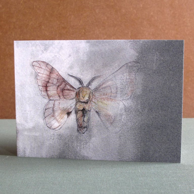 Blank Fine Art Card with Envelope